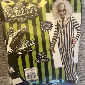 NEW Beetlejuice Adult Costume one size